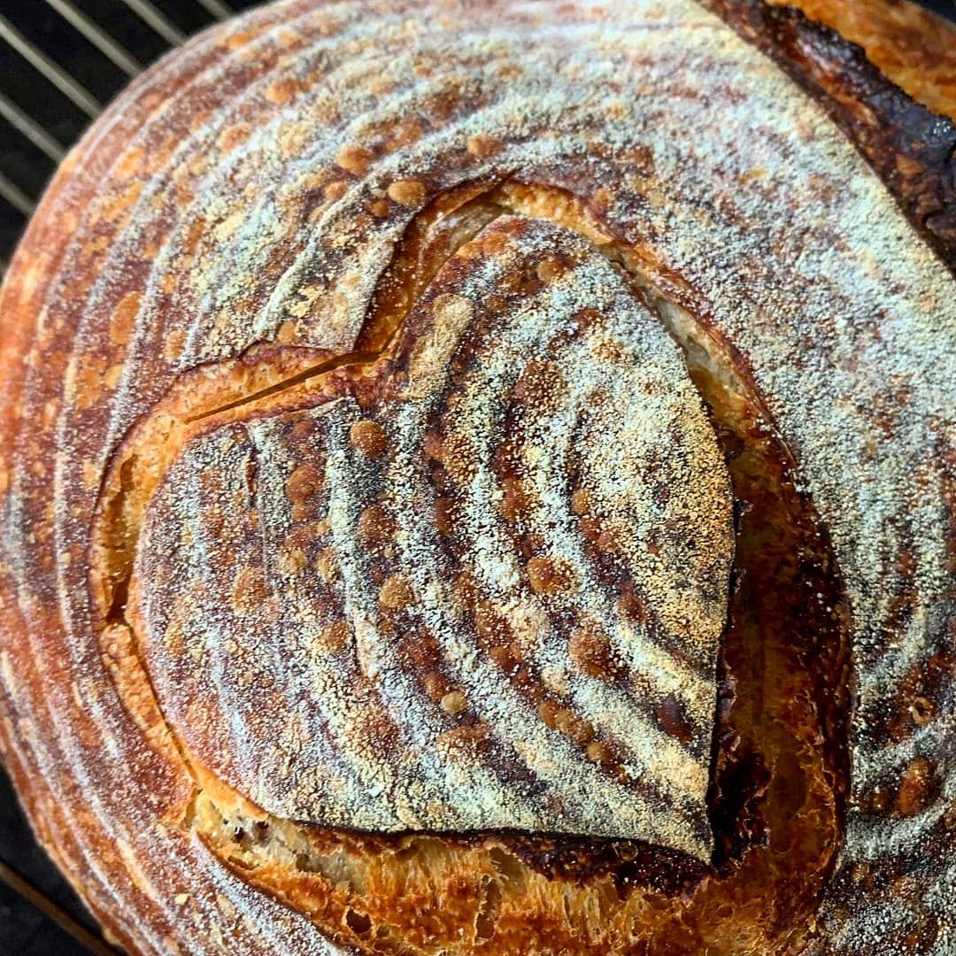 5 Tips For Beginner Sourdough Bread To Make You Successful