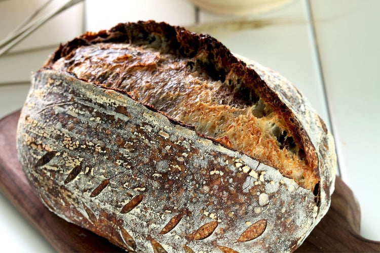 Healthy Whole Wheat Sourdough Recipe | You Knead Sourdough