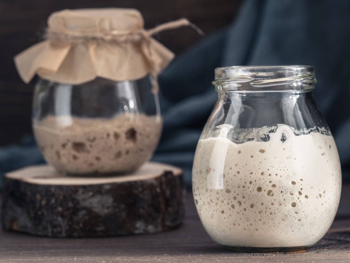 How To Feed Your Sourdough Starter | You Knead Sourdough